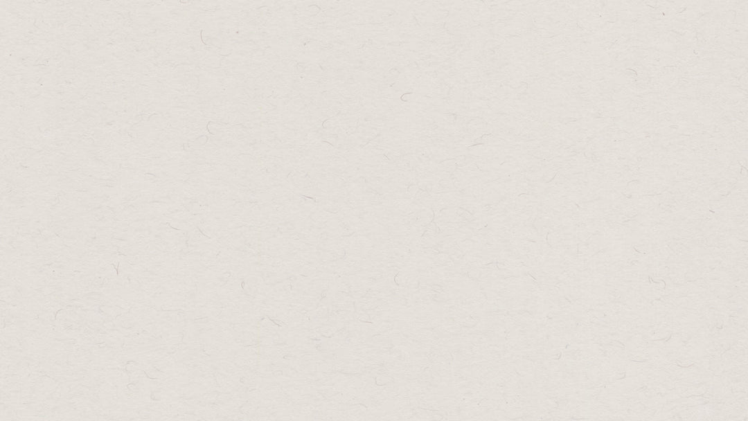 Tulip Coupes in Amber